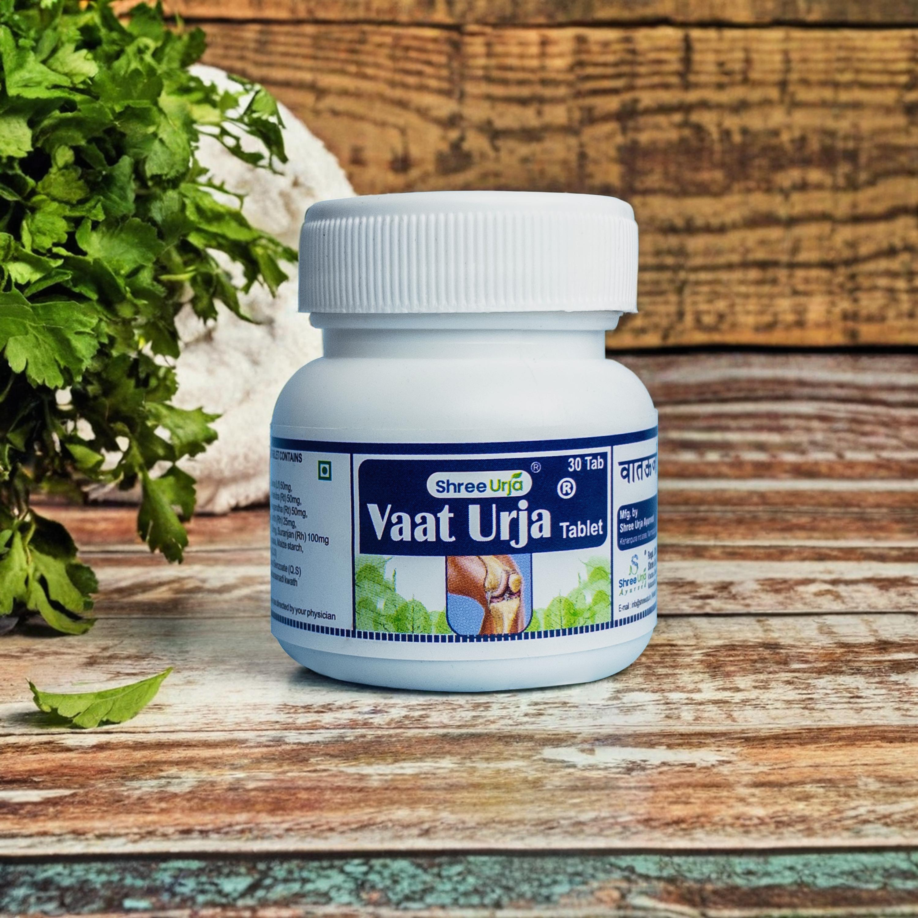 Shree Urja Website Element